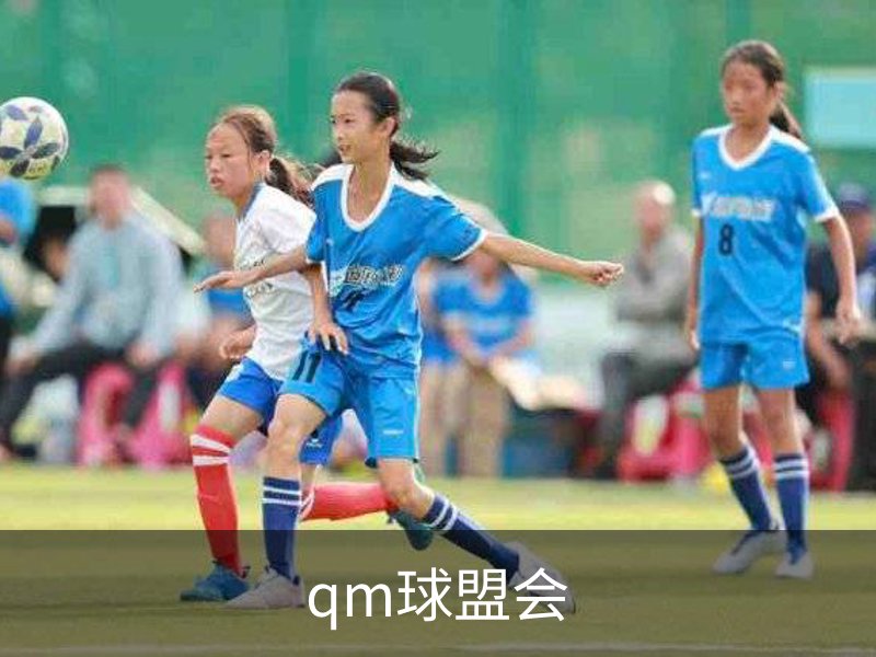球盟会·qmh(中国)-官方网站